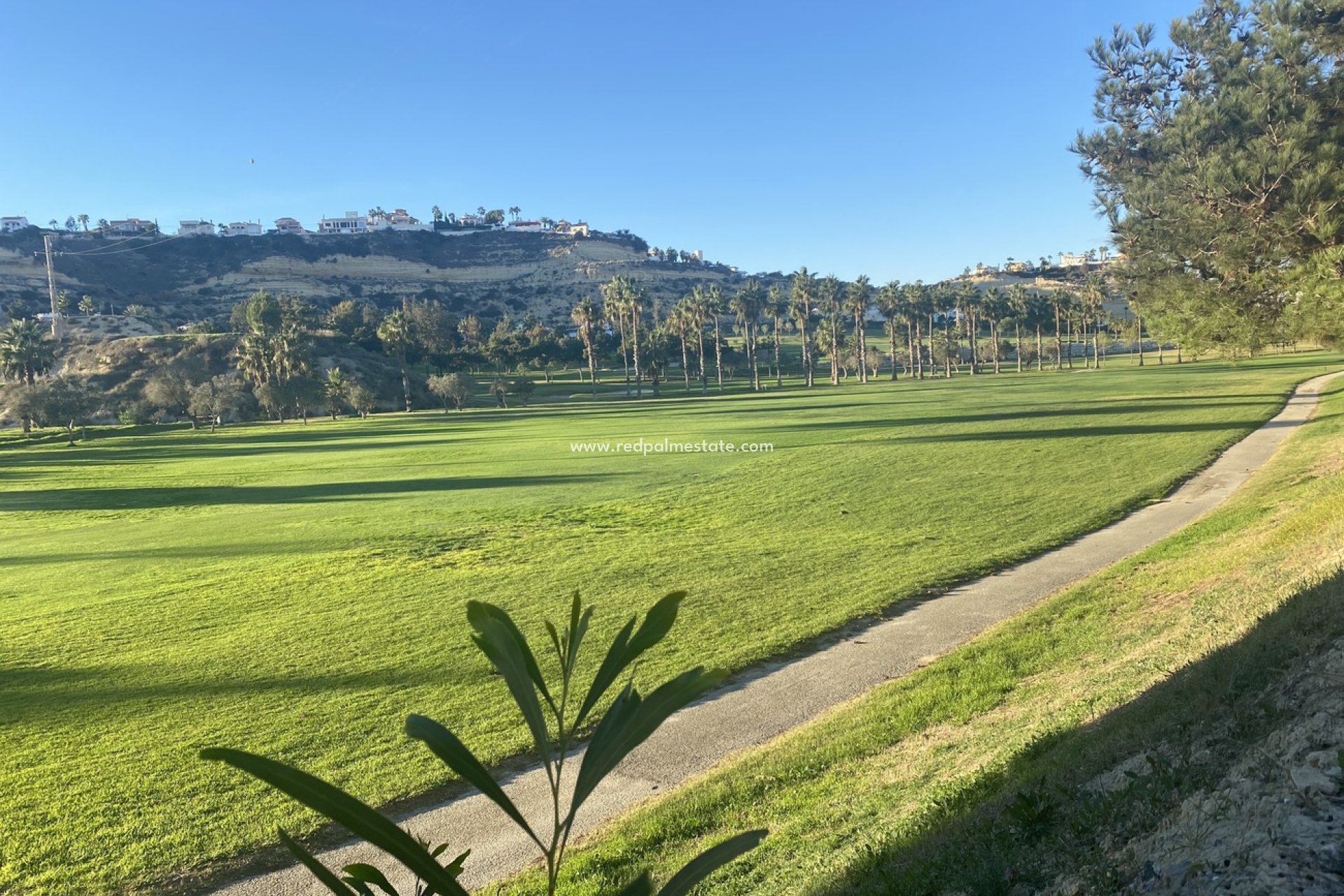 Återförsäljning - Komplott -
Ciudad Quesada/Rojales - CIUDAD QUESADA