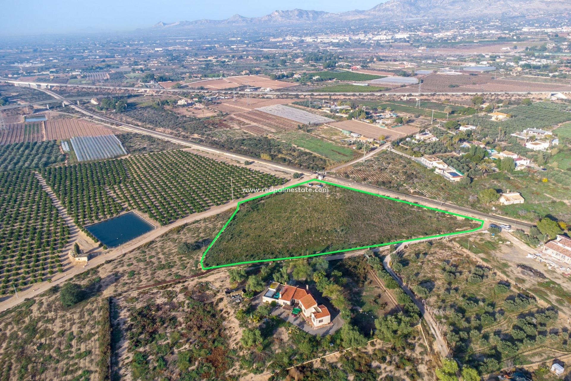 Återförsäljning - Komplott -
Crevillente - Comunidad Valenciana