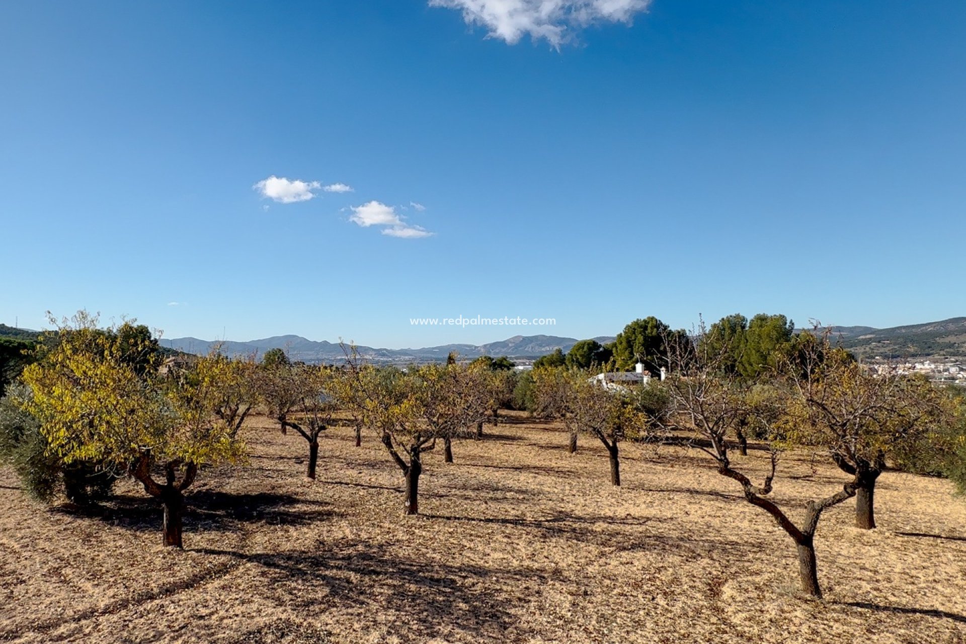 Återförsäljning - Komplott -
Ibi - Costa Blanca