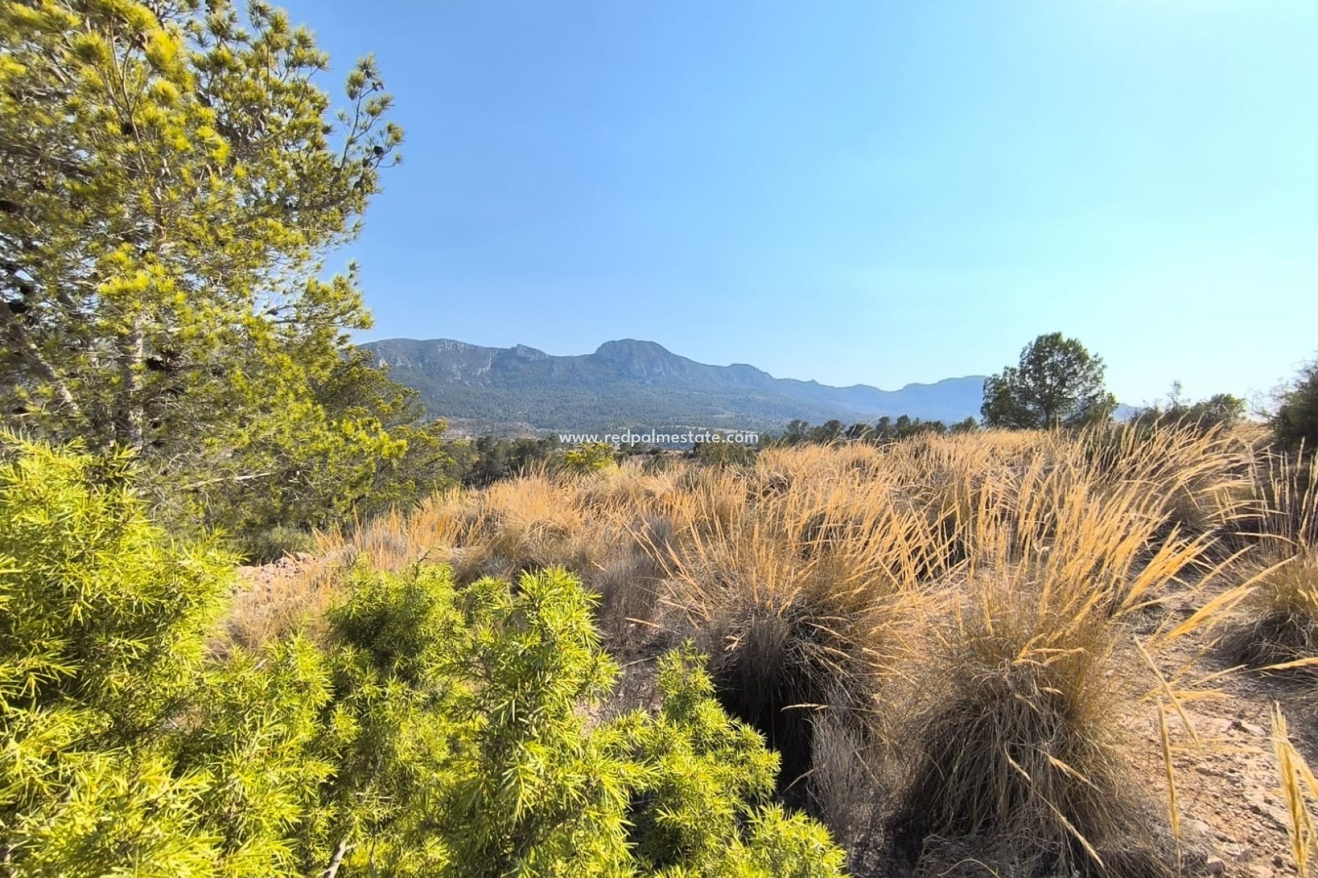 Återförsäljning - Komplott -
La Romana - Inland