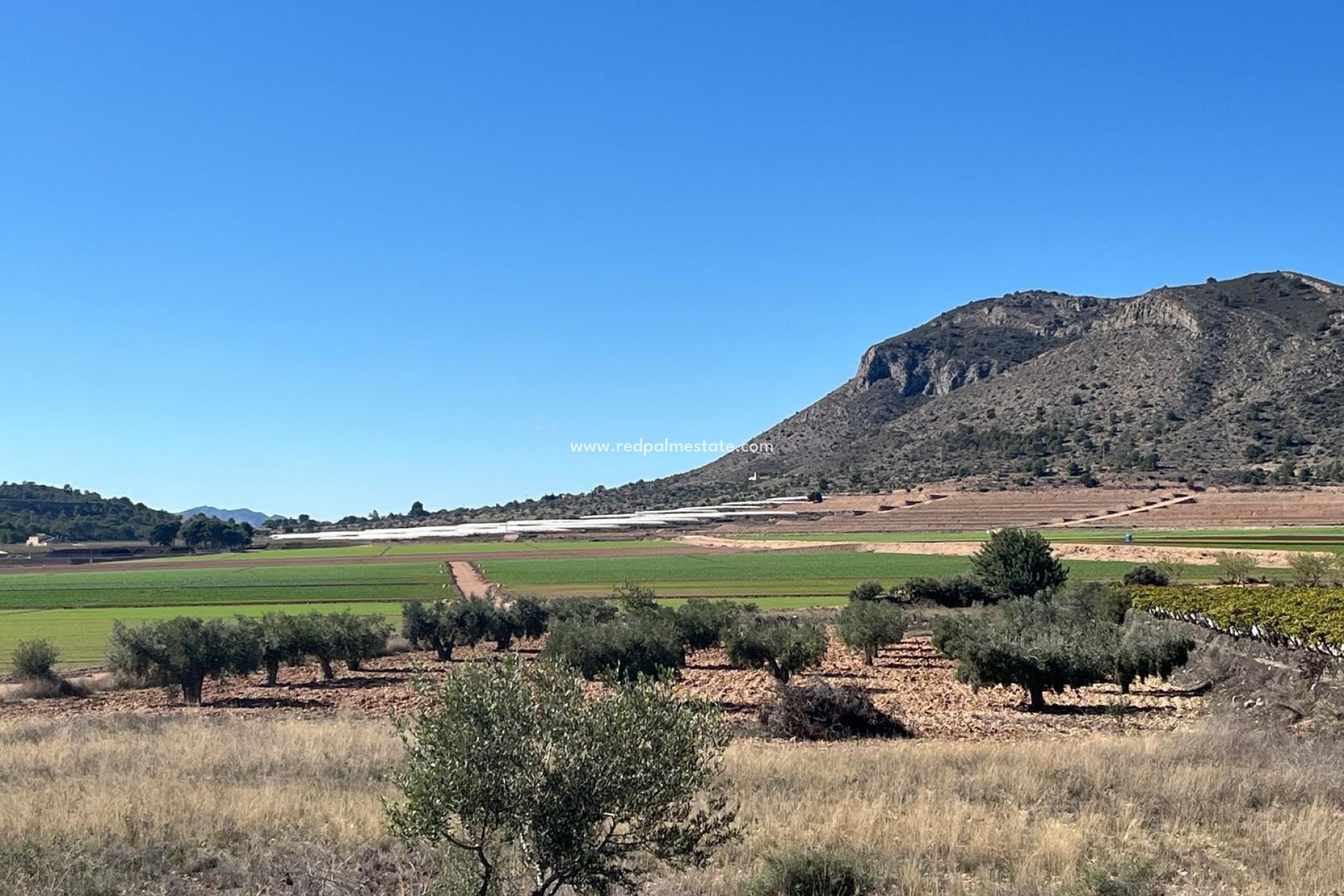 Återförsäljning - Komplott -
La Romana - Inland