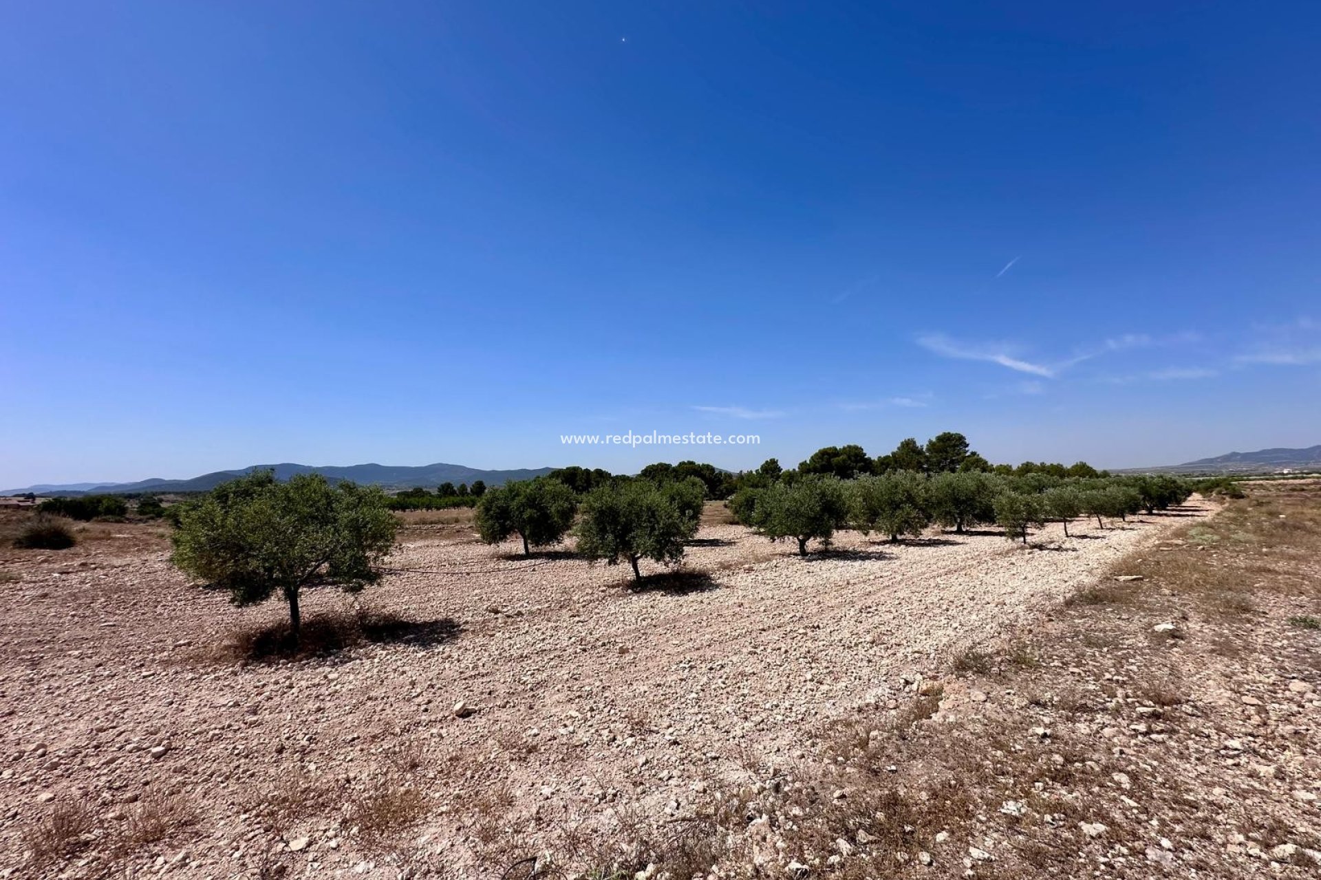 Återförsäljning - Komplott -
Monóvar/Monóver - Inland