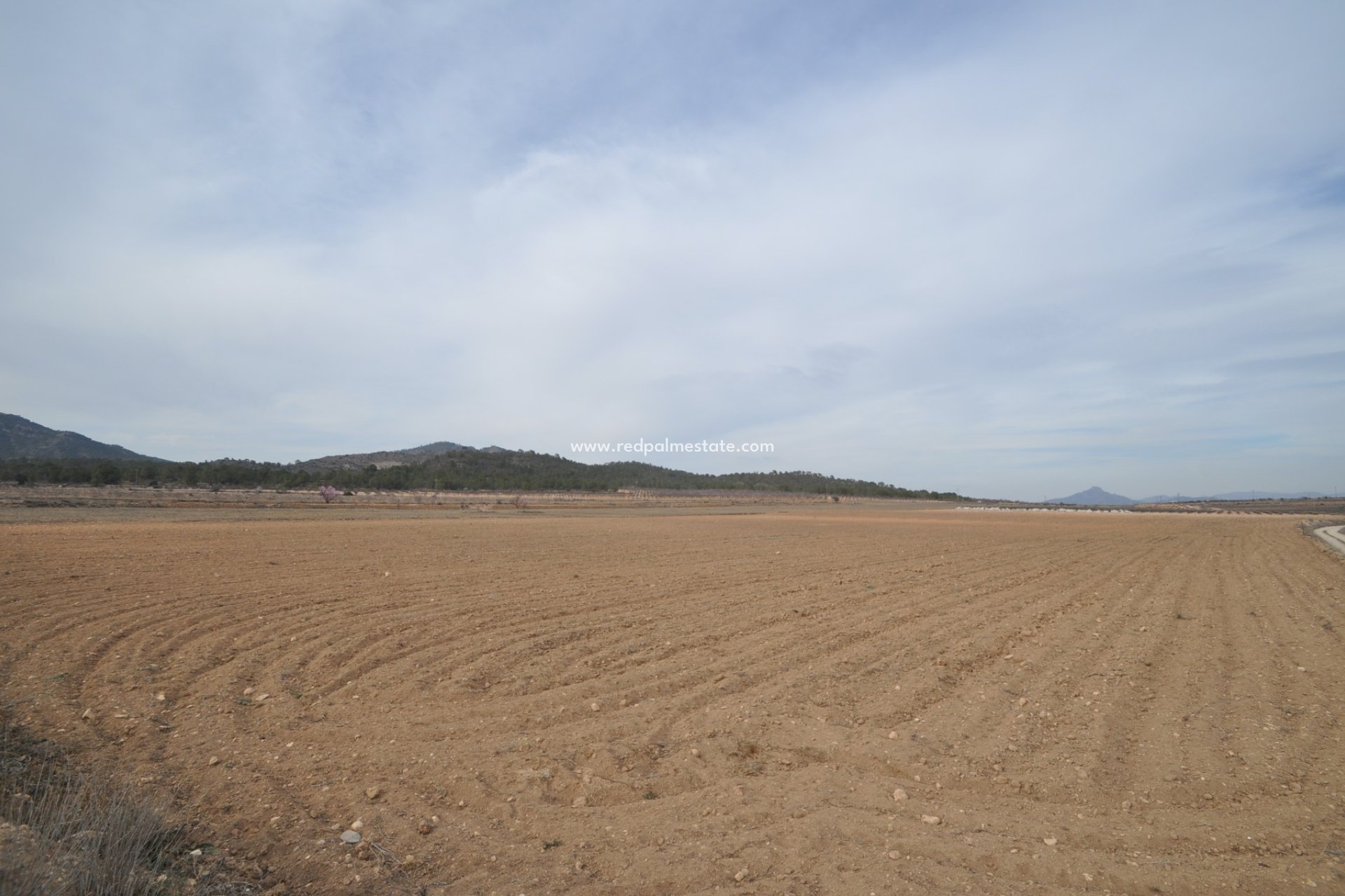 Återförsäljning - Komplott -
Monóvar/Monóver - Inland