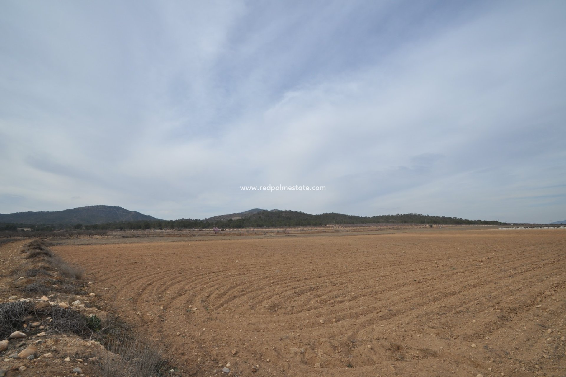 Återförsäljning - Komplott -
Monóvar/Monóver - Inland