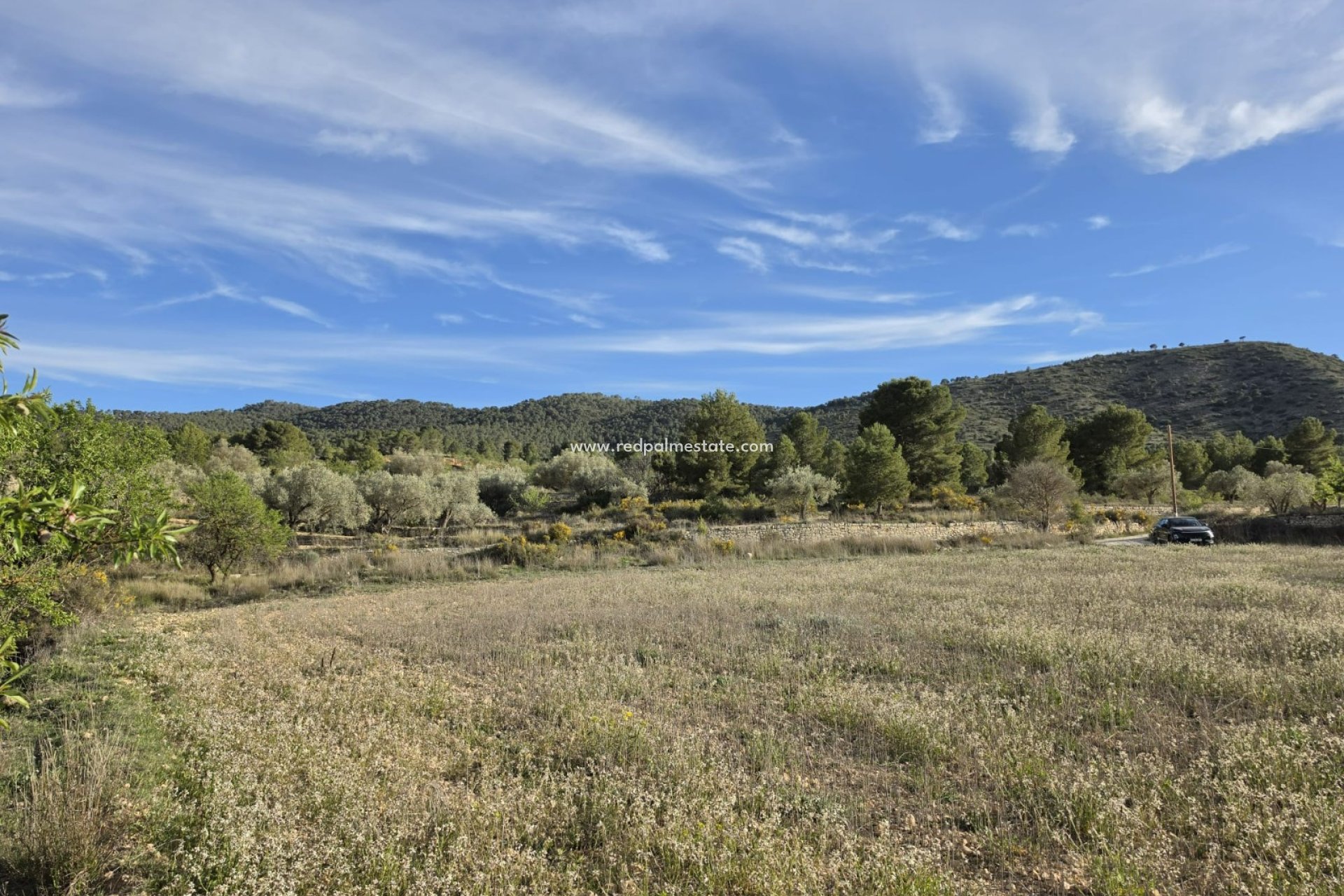 Återförsäljning - Komplott -
Monóvar/Monóver - Inland