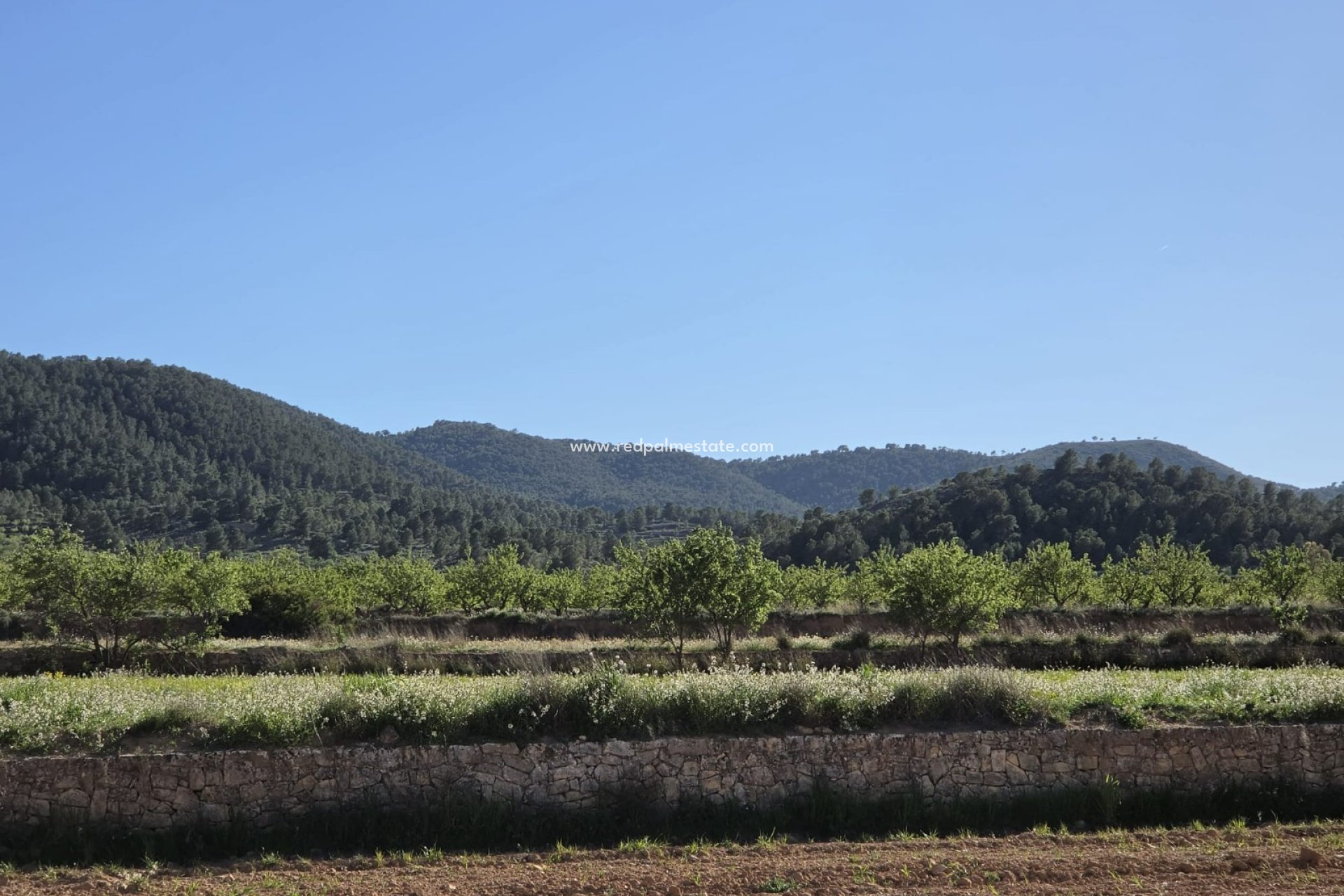 Återförsäljning - Komplott -
Monóvar/Monóver - Inland