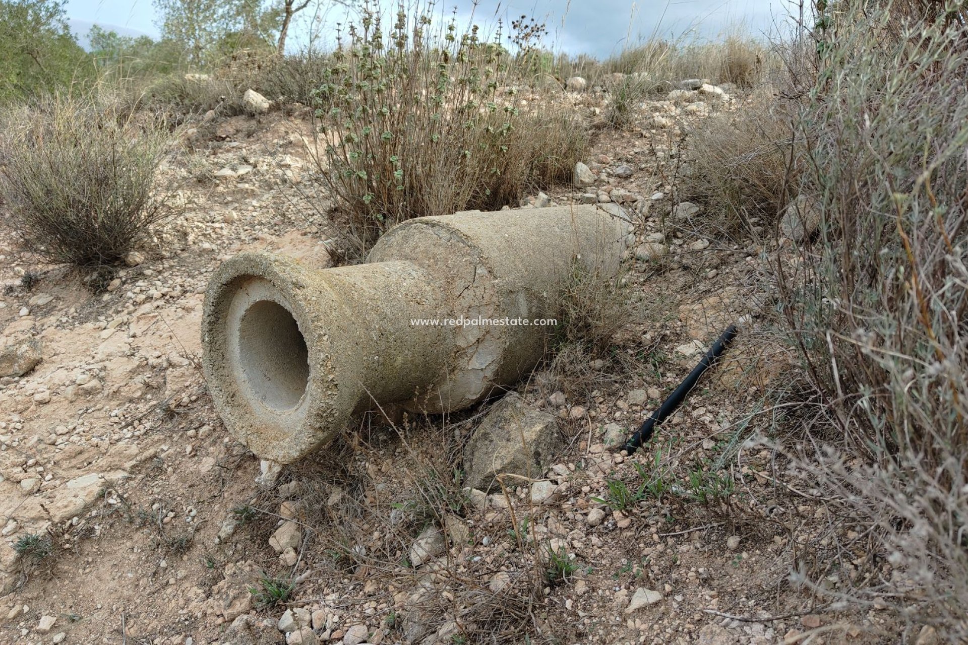 Återförsäljning - Komplott -
Monóvar/Monóver - Inland