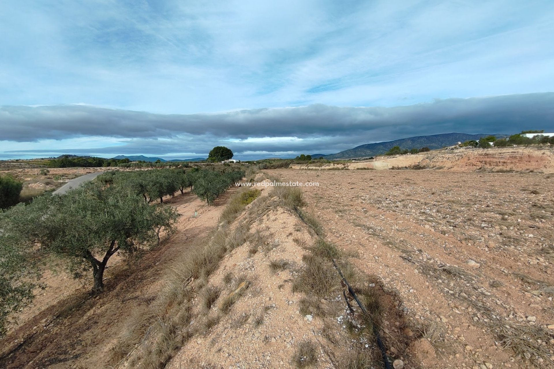 Återförsäljning - Komplott -
Monóvar/Monóver - Inland