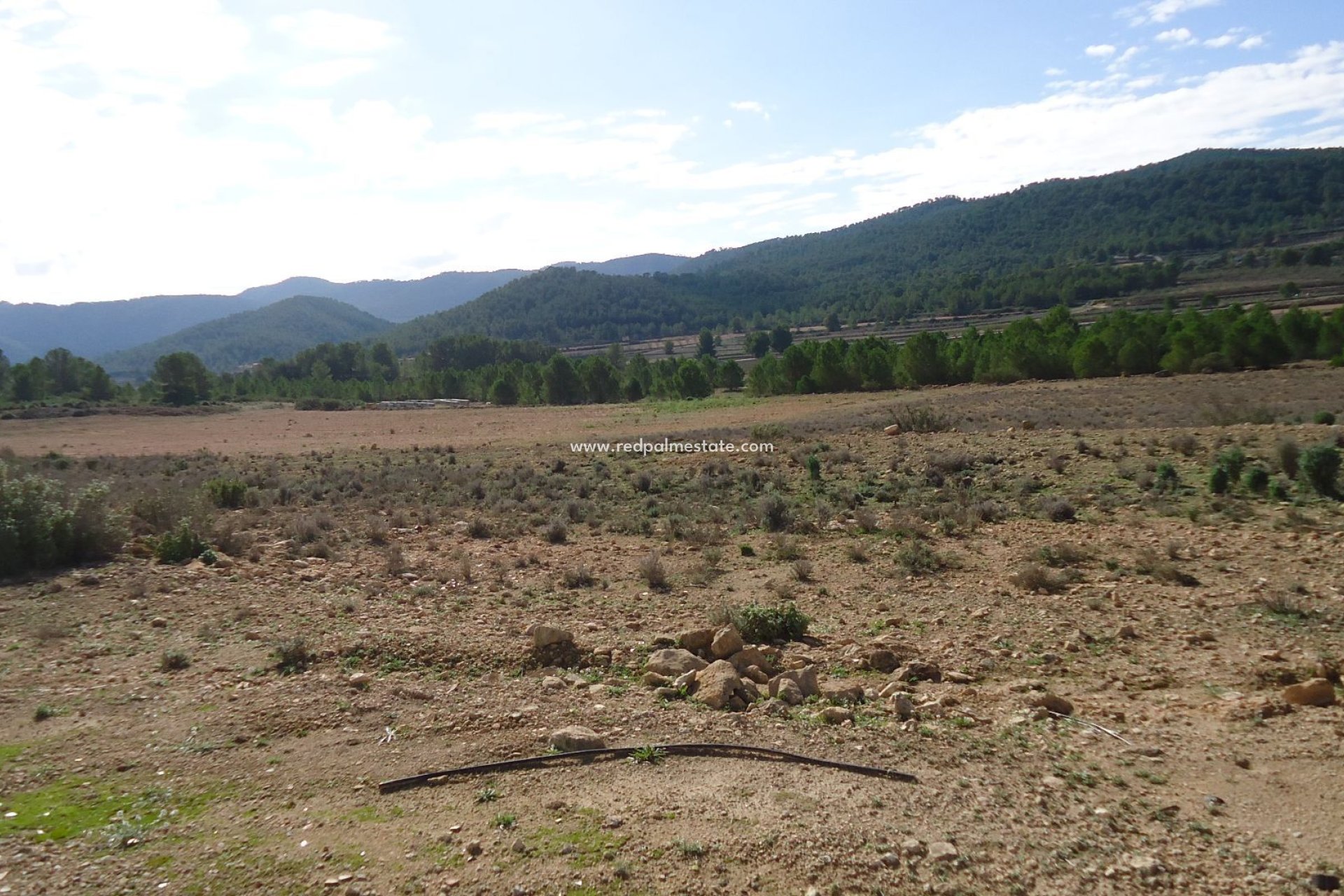 Återförsäljning - Komplott -
Monóvar/Monóver - Inland