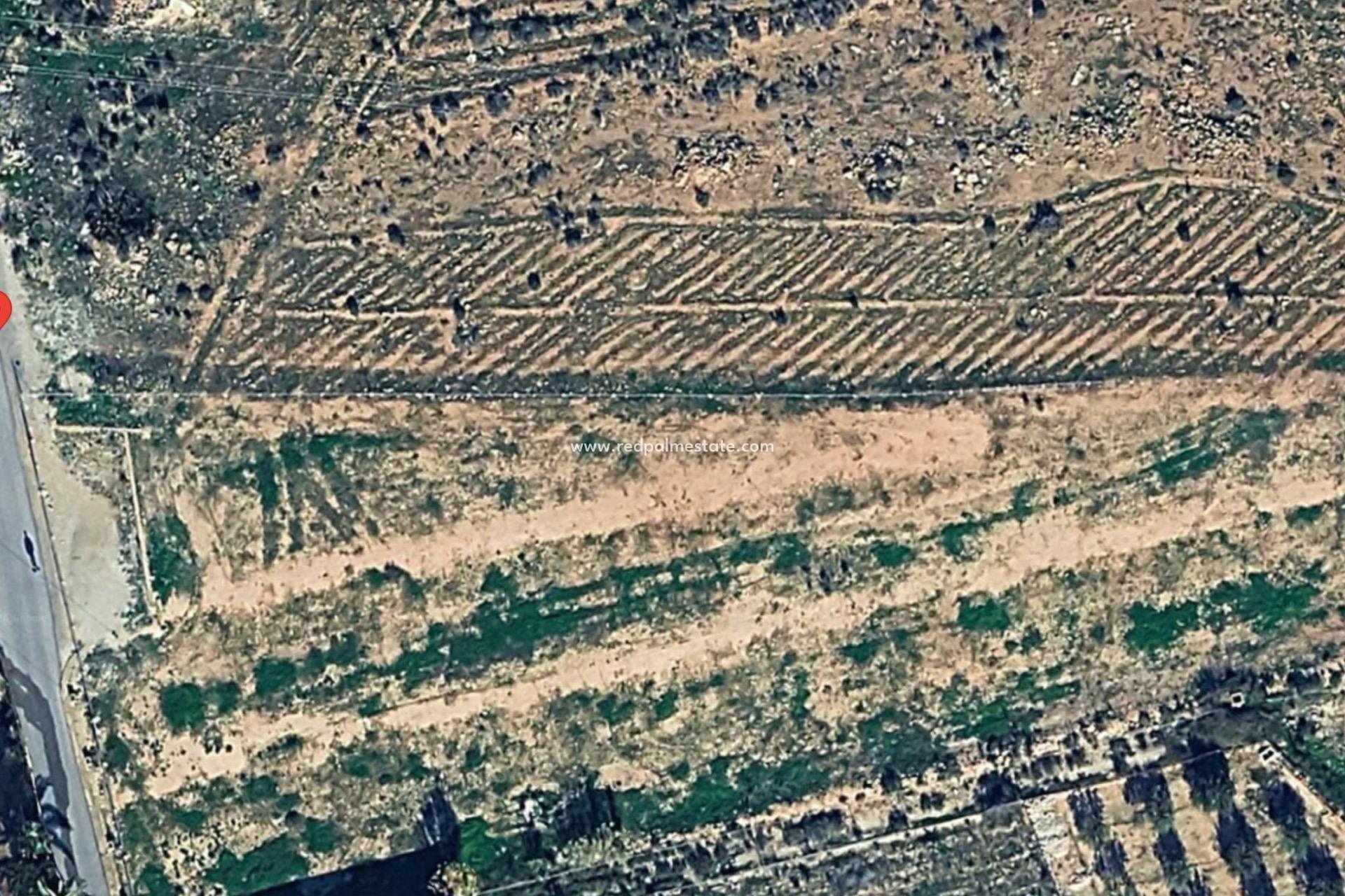 Återförsäljning - Komplott -
Montesinos - Pueblo 8