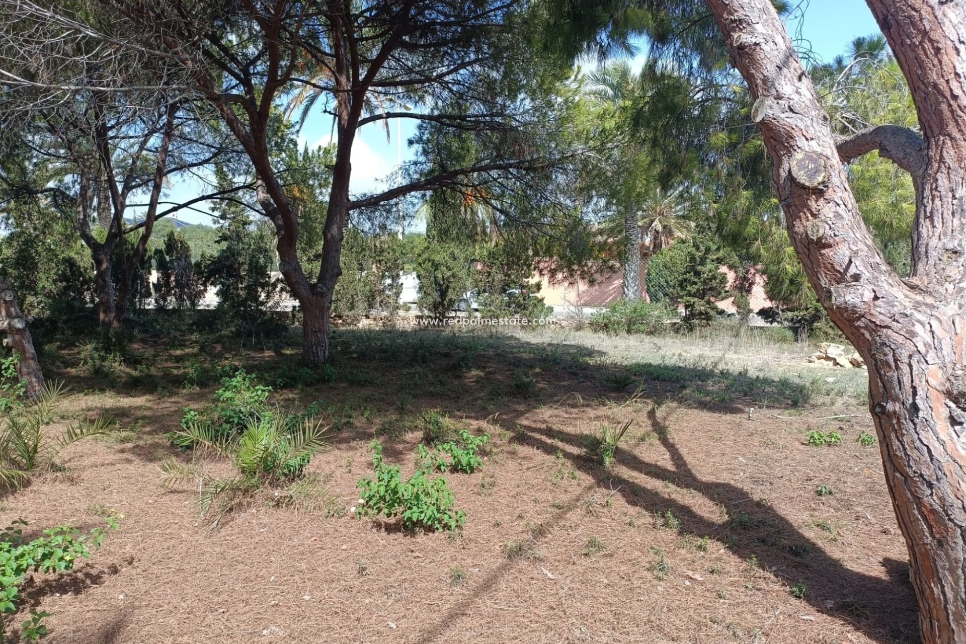 Återförsäljning - Komplott -
Orihuela Costa - Cabo Roig