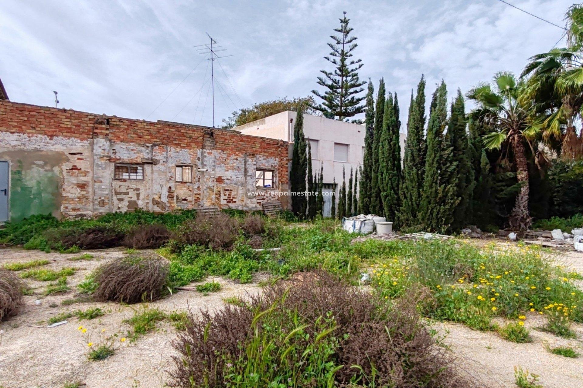 Återförsäljning - Komplott -
Orihuela