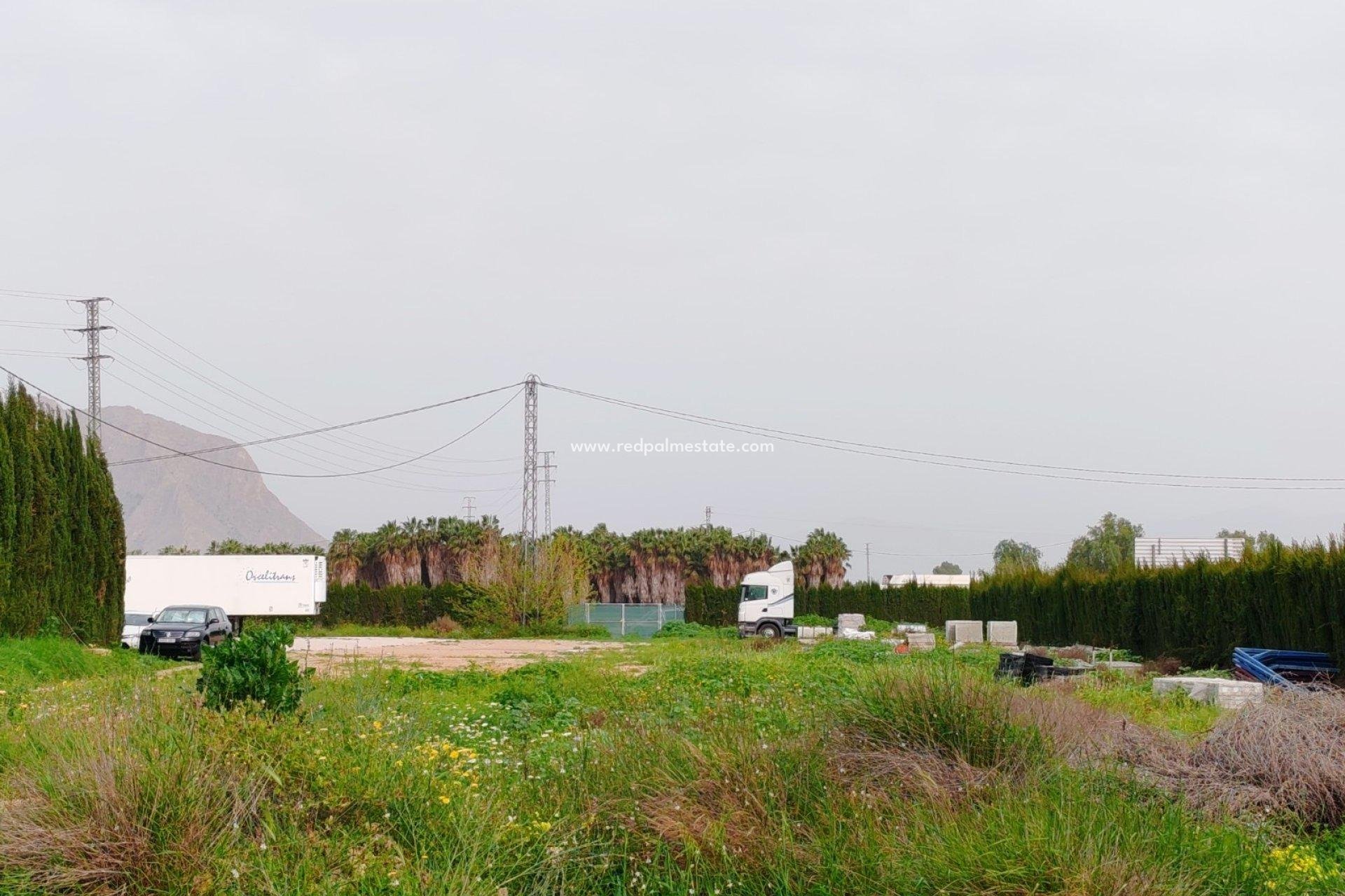 Återförsäljning - Komplott -
Orihuela
