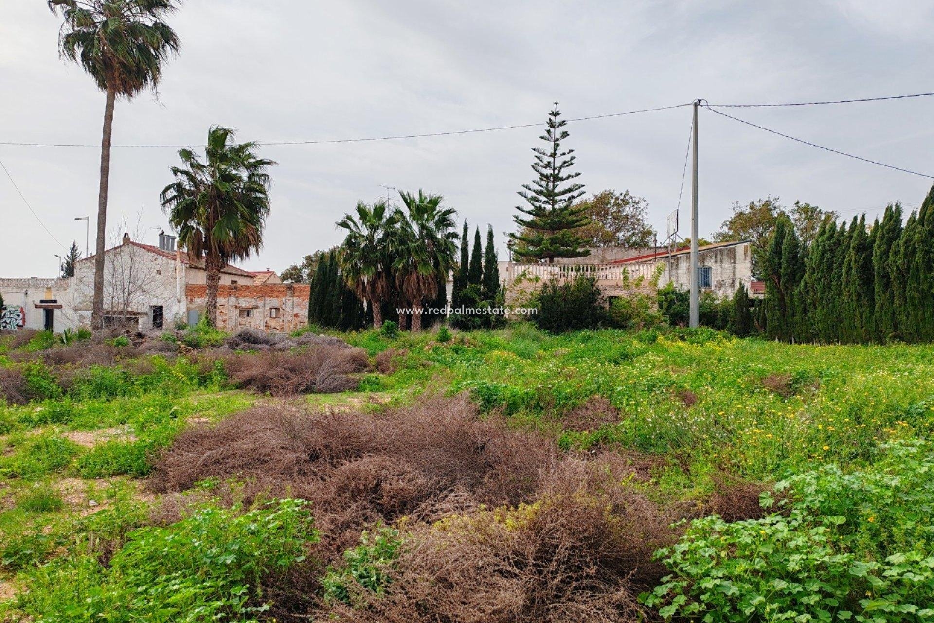 Återförsäljning - Komplott -
Orihuela