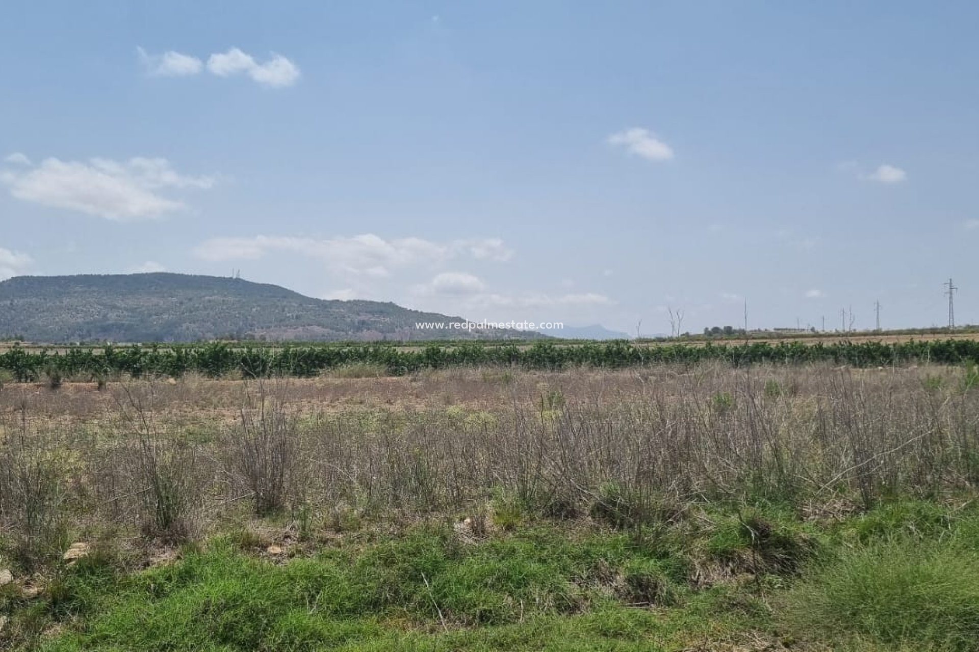 Återförsäljning - Komplott -
Pinoso - Inland