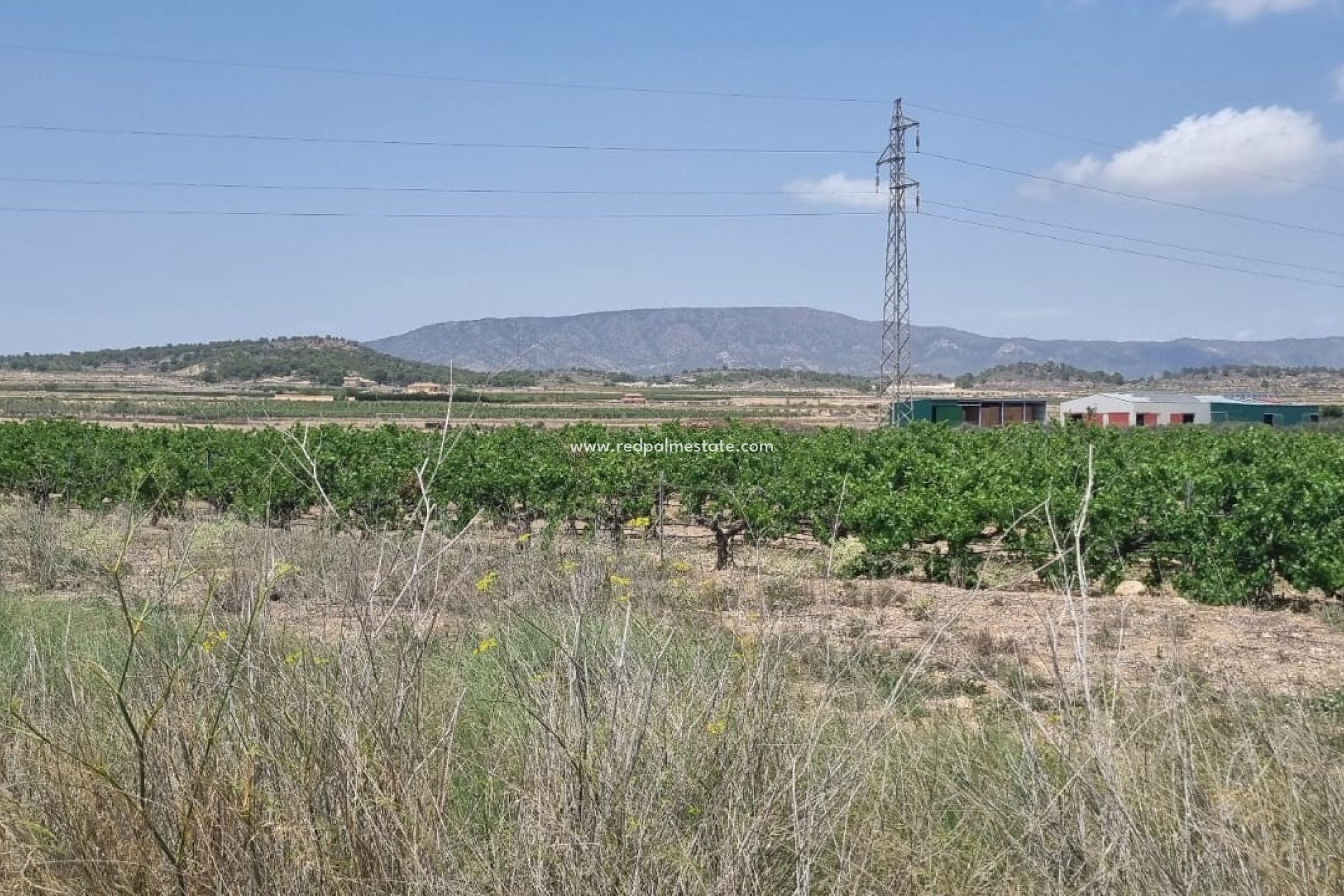 Återförsäljning - Komplott -
Pinoso - Inland