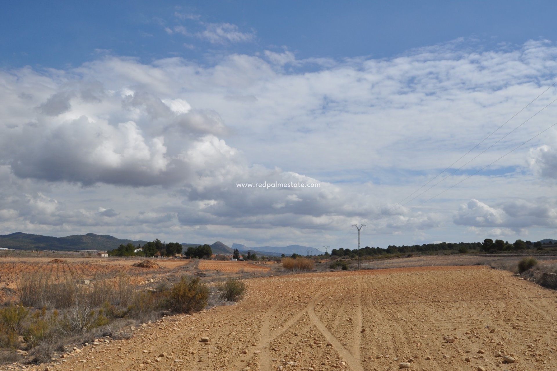 Återförsäljning - Komplott -
Pinoso - Inland