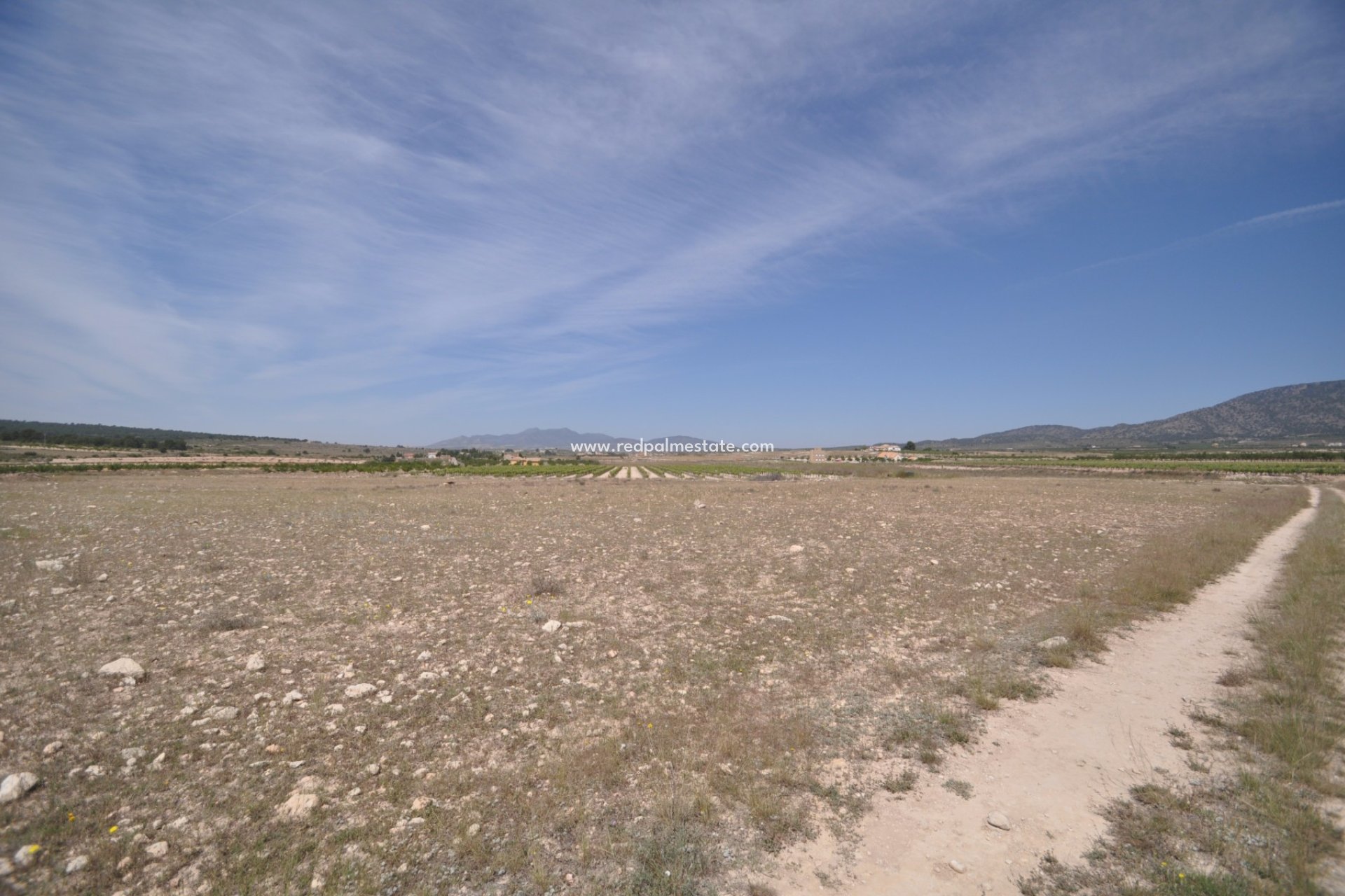Återförsäljning - Komplott -
Pinoso - Inland