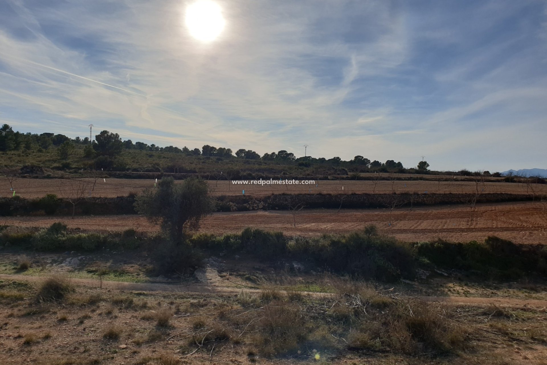 Återförsäljning - Komplott -
Pinoso - Inland