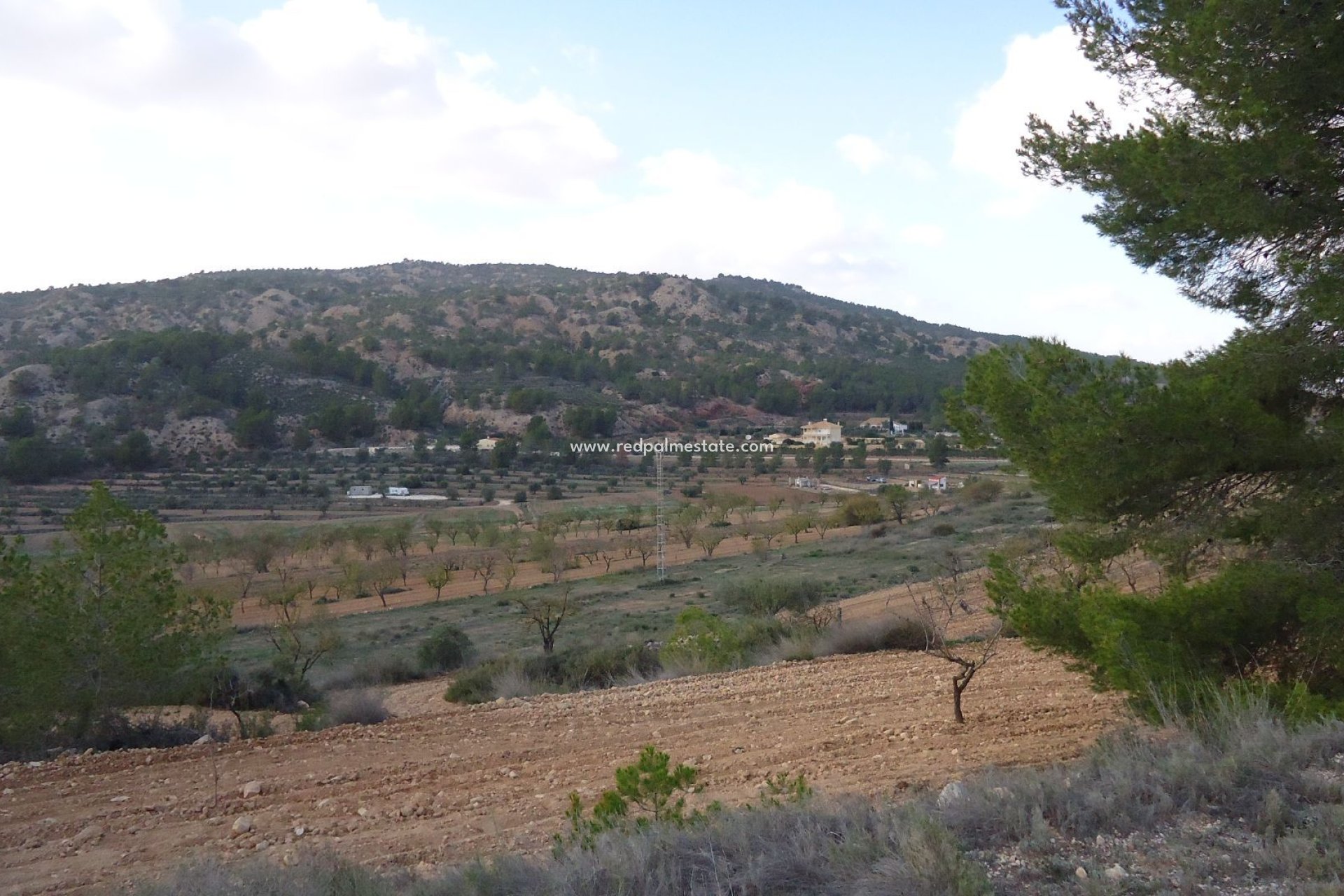 Återförsäljning - Komplott -
Pinoso - Inland