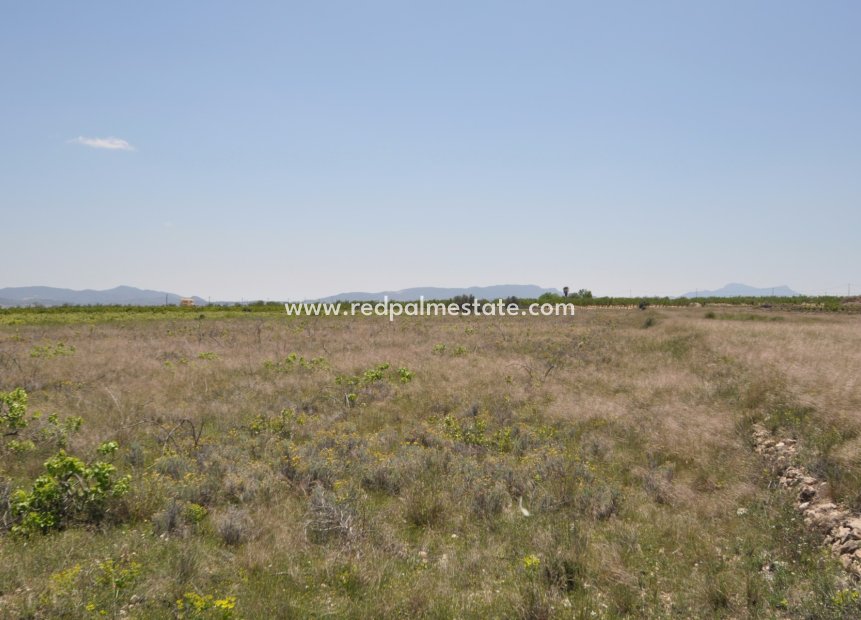 Återförsäljning - Komplott -
Pinoso - Inland