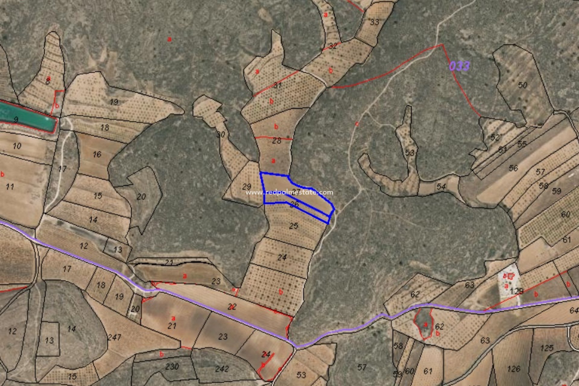 Återförsäljning - Komplott -
Pinoso - Inland