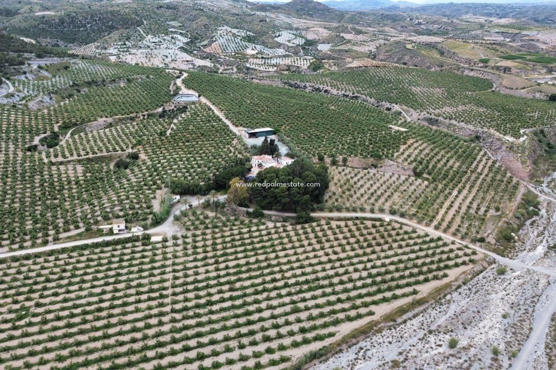 Återförsäljning - Komplott -
Puerto Lumbreras - Inland