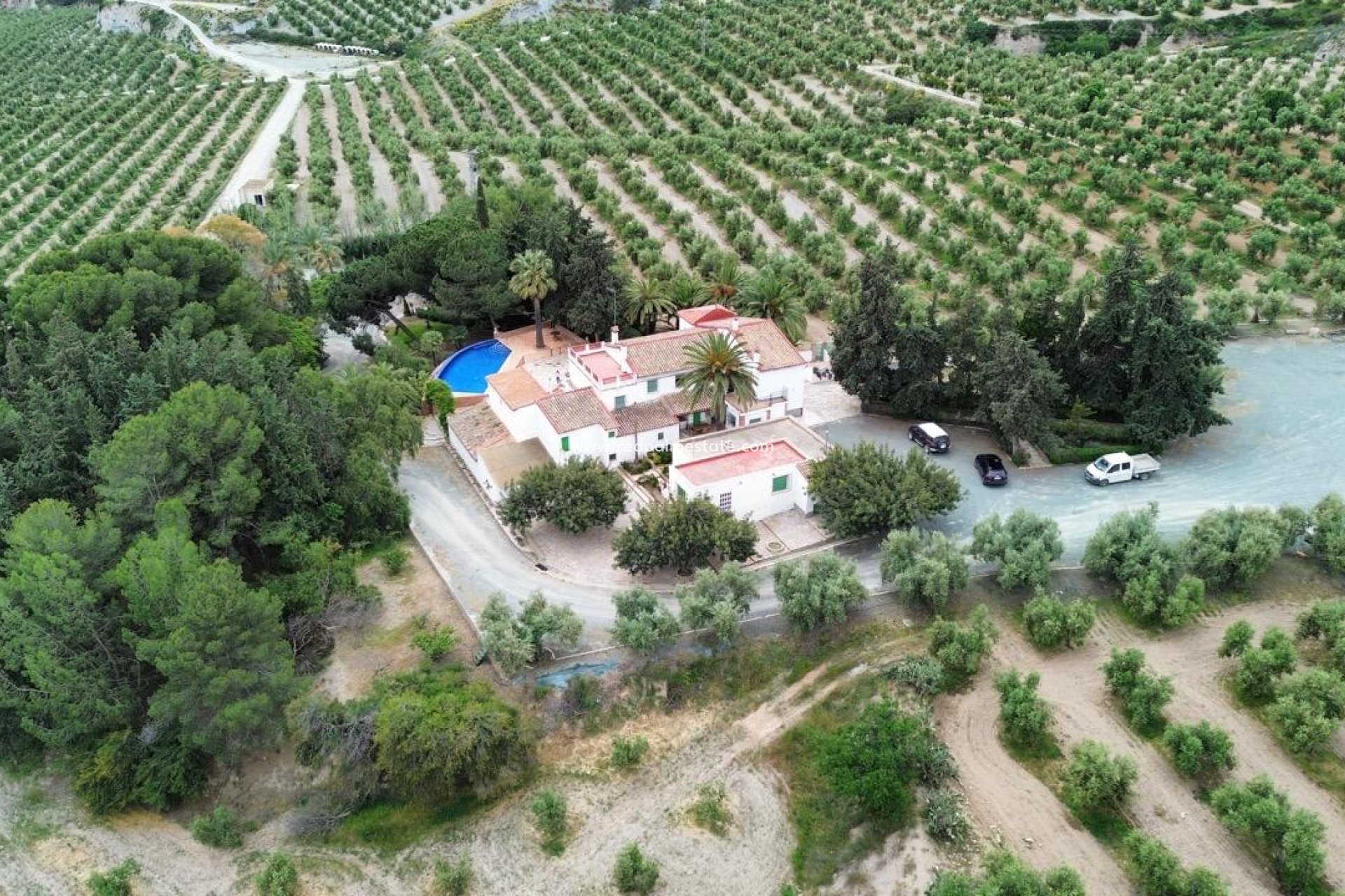 Återförsäljning - Komplott -
Puerto Lumbreras - Nogalte