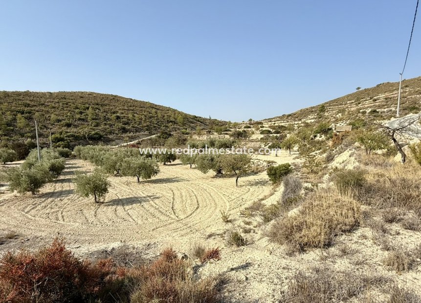 Återförsäljning - Komplott -
Relleu - Costa Blanca