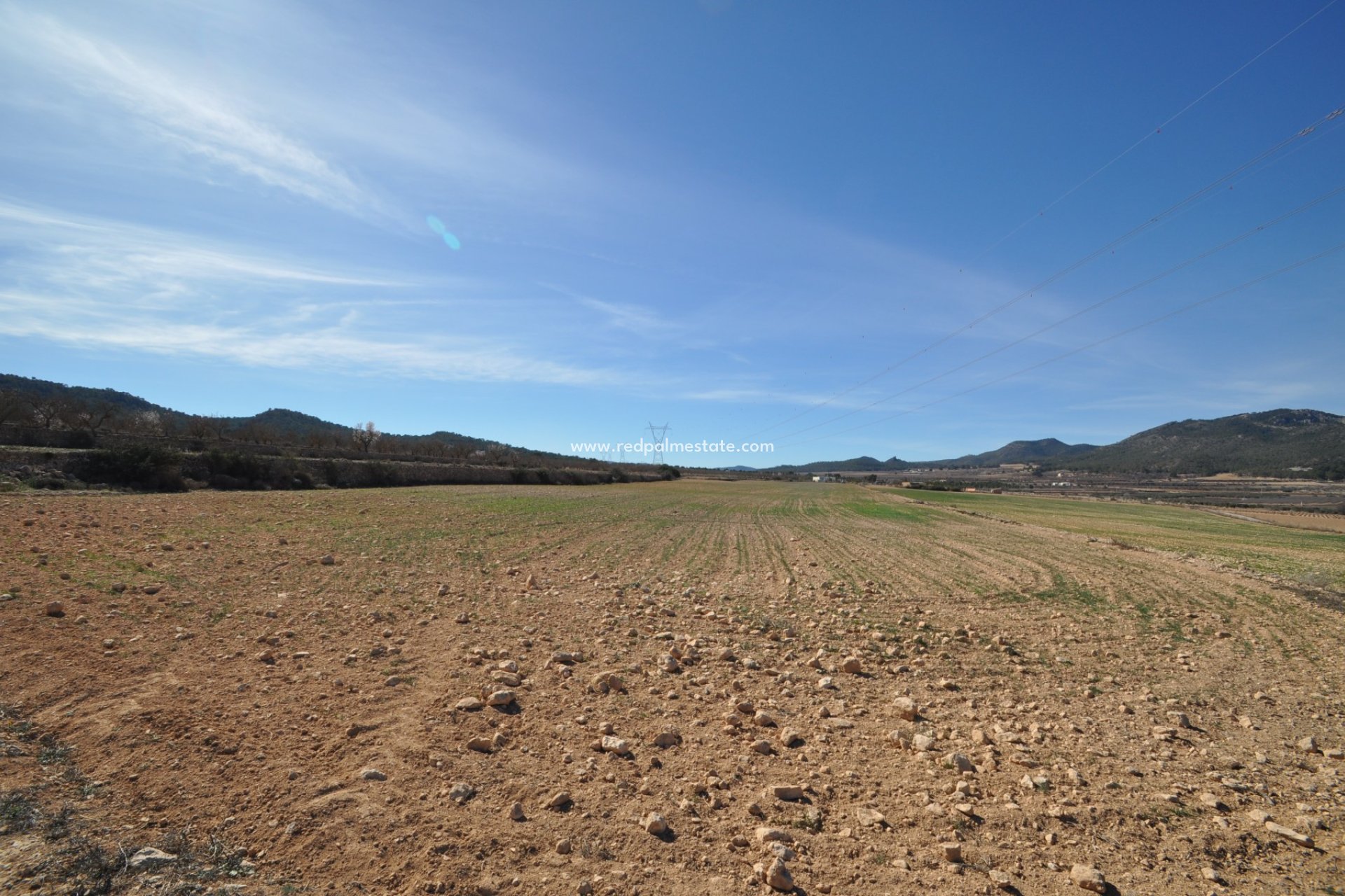 Återförsäljning - Komplott -
Salinas - Inland