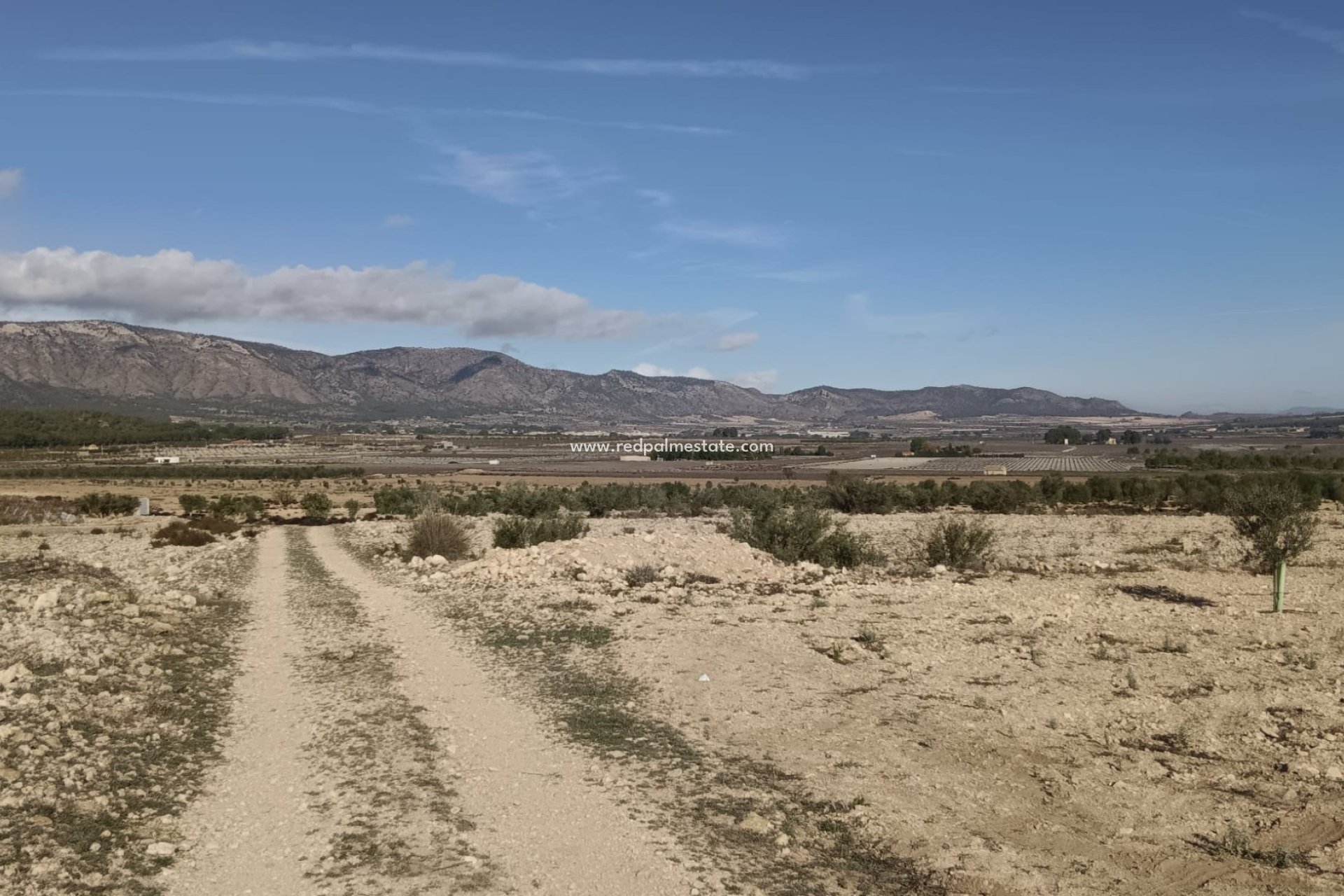 Återförsäljning - Komplott -
Salinas - Inland