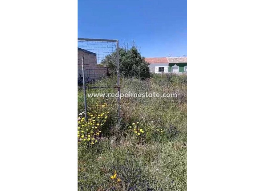 Återförsäljning - Komplott -
San Pedro del Pinatar - Las Beatas