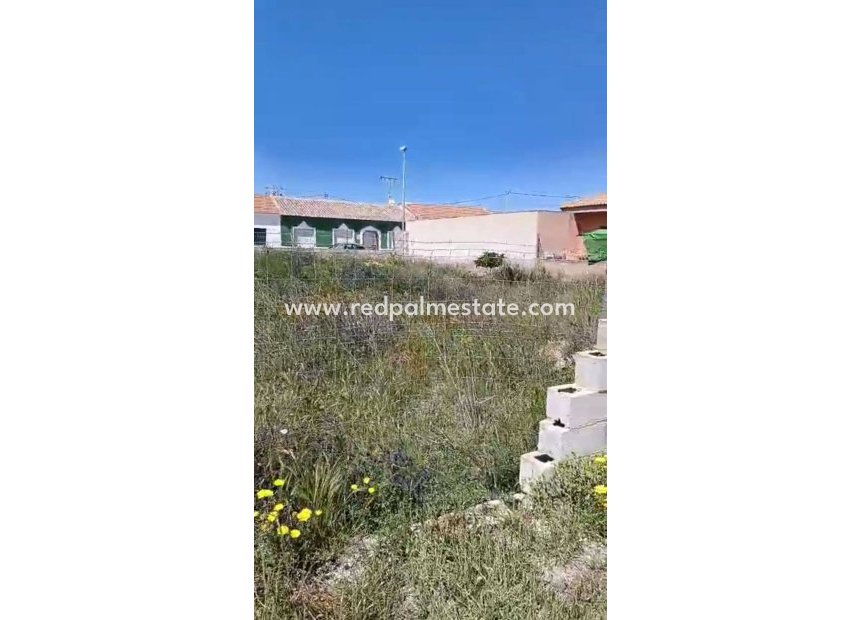 Återförsäljning - Komplott -
San Pedro del Pinatar - Las Beatas