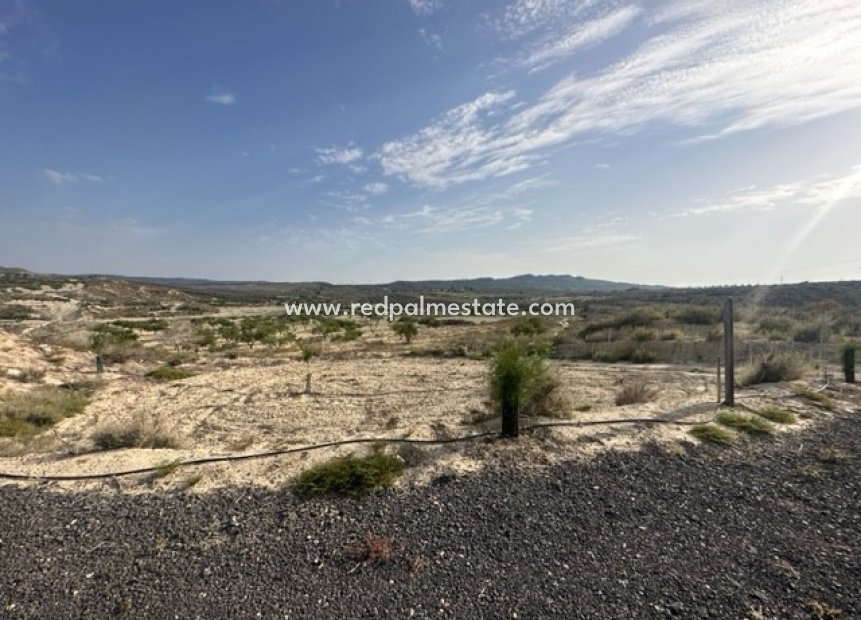 Återförsäljning - Komplott -
Torremendo - Costa Blanca