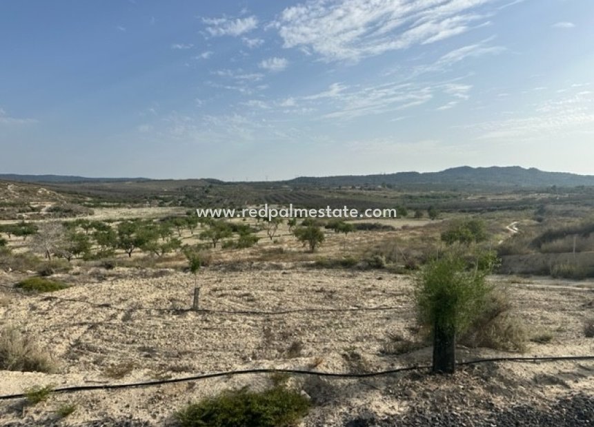 Återförsäljning - Komplott -
Torremendo - Costa Blanca