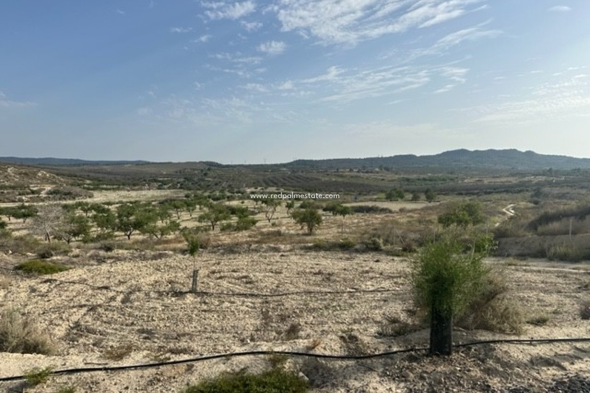 Återförsäljning - Komplott -
Torremendo - Costa Blanca