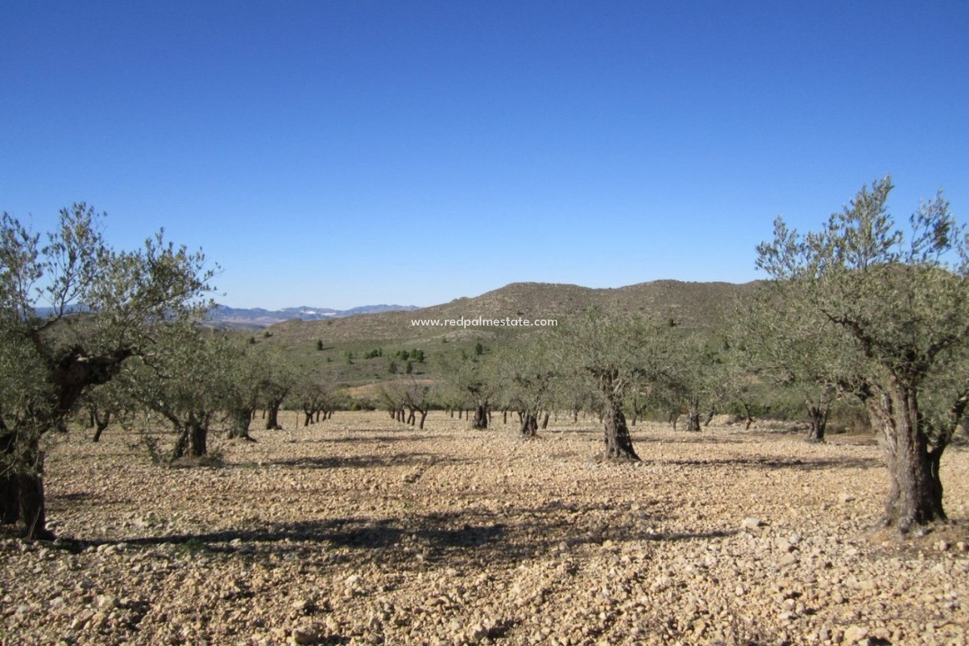 Återförsäljning - Komplott -
Villena - Inland