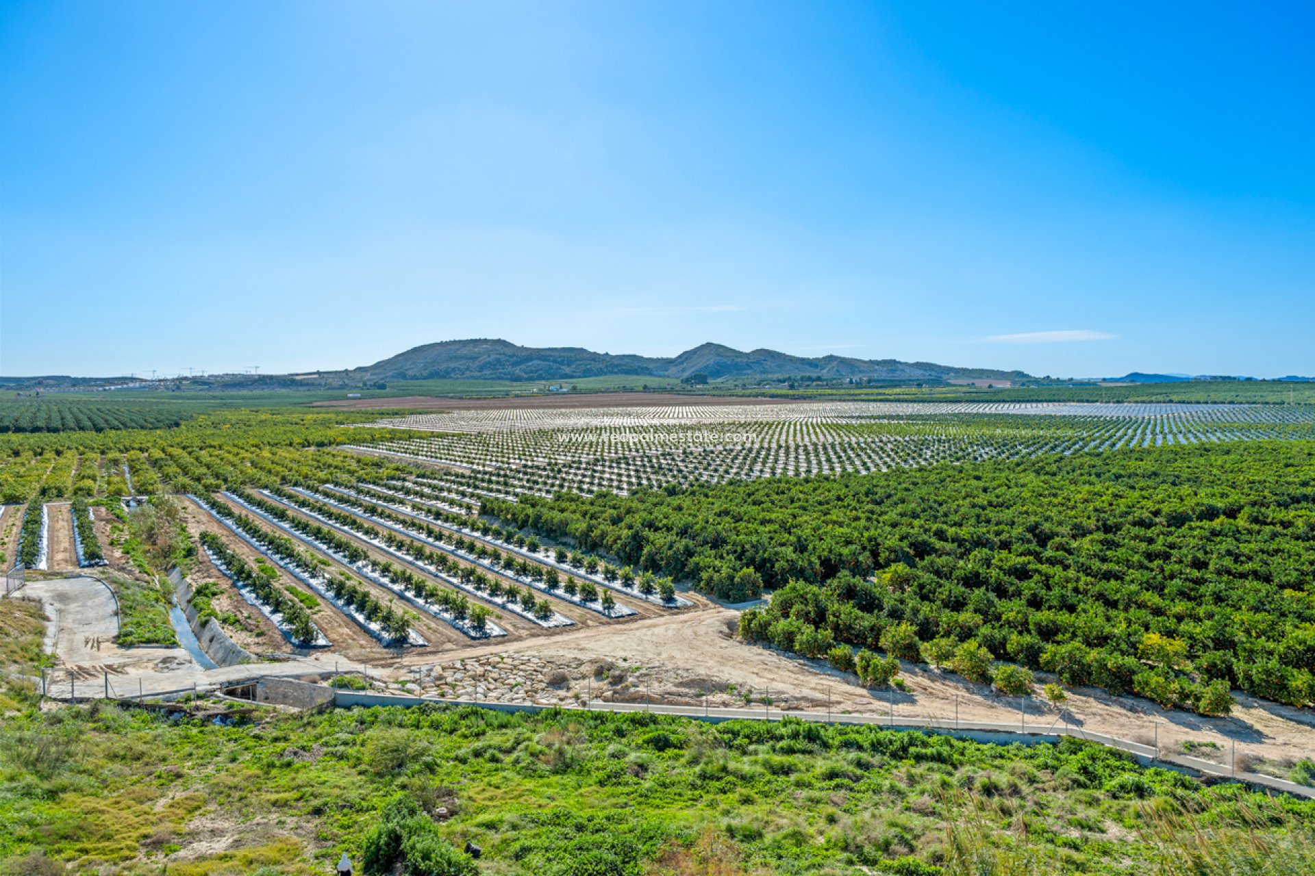Återförsäljning - Lägenhet -
Algorfa - Inland