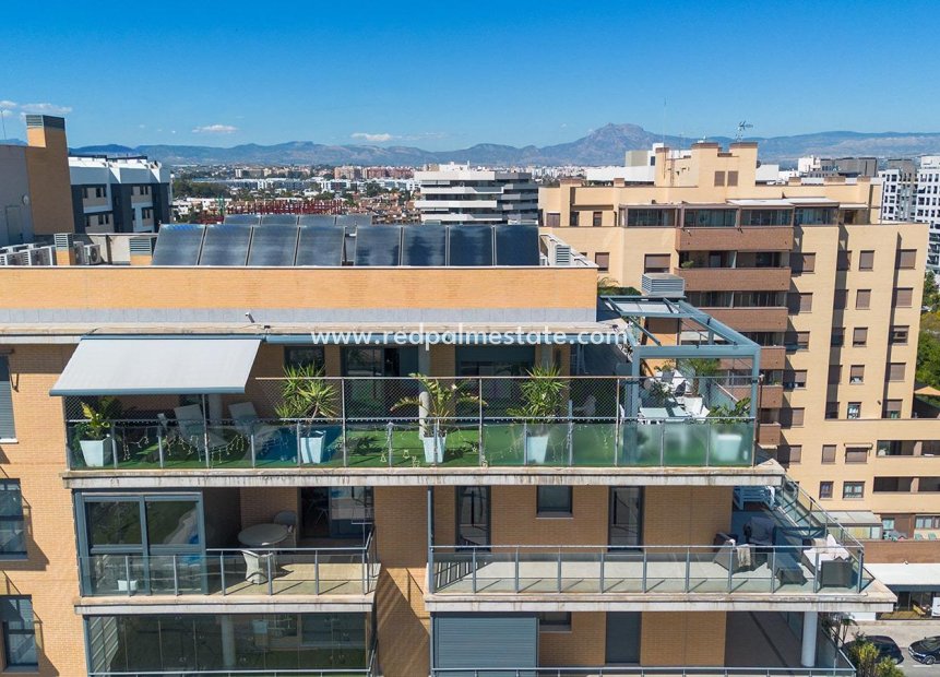 Återförsäljning - Lägenhet -
Alicante - Pau 5