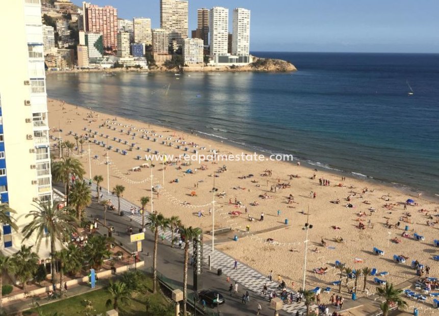 Återförsäljning - Lägenhet -
Benidorm - Costa Blanca