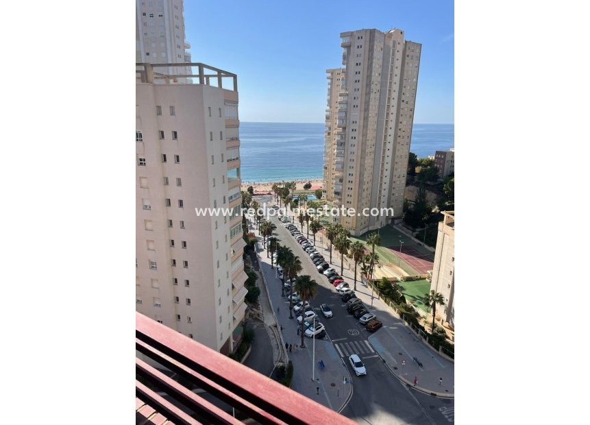 Återförsäljning - Lägenhet -
Benidorm - Costa Blanca