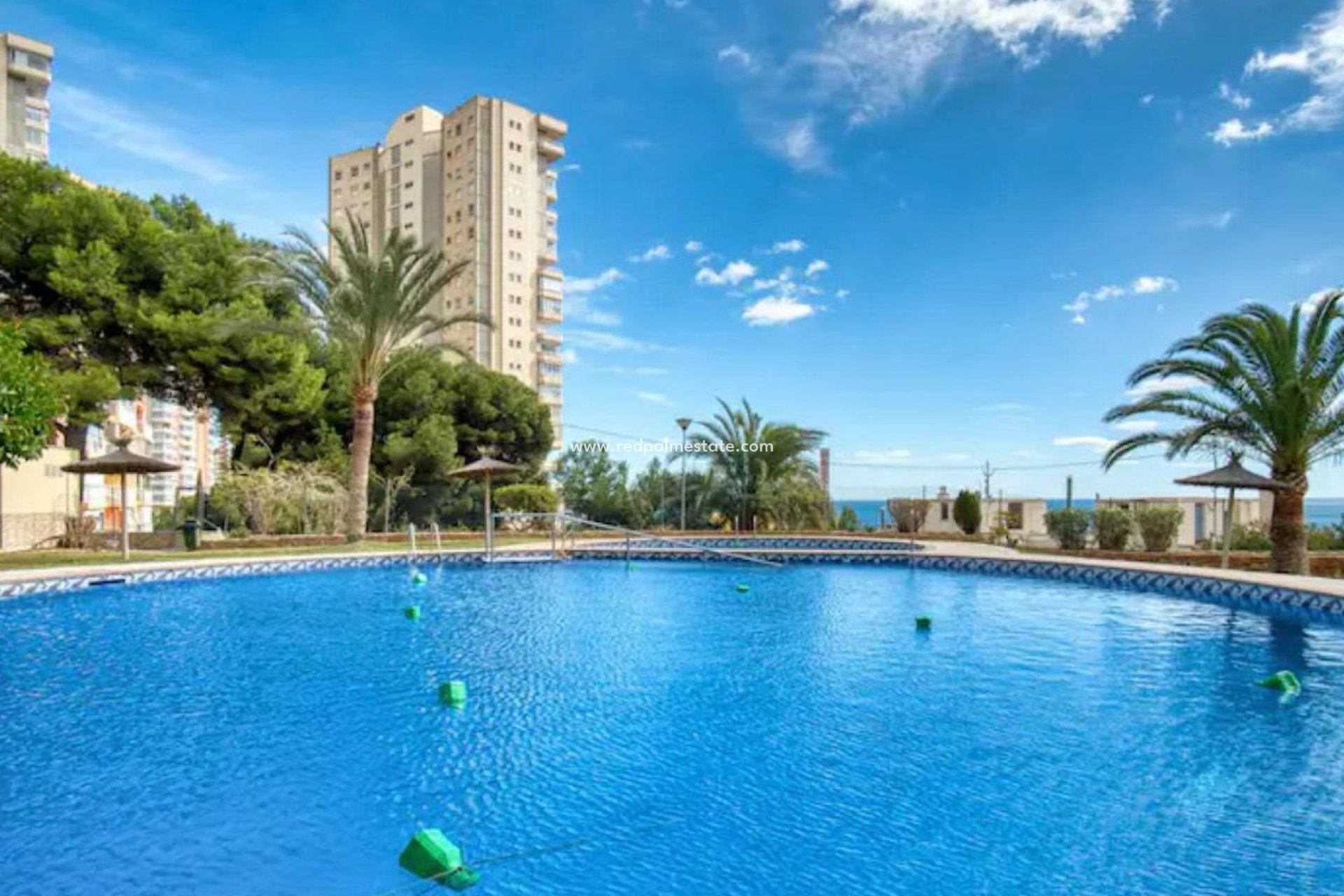 Återförsäljning - Lägenhet -
Benidorm - Costa Blanca