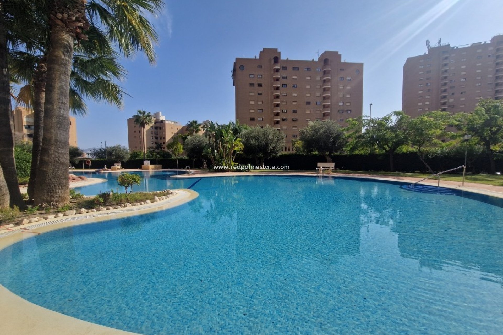 Återförsäljning - Lägenhet -
Benidorm - Costa Blanca