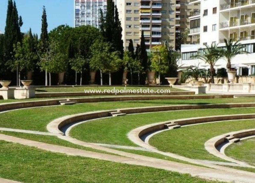 Återförsäljning - Lägenhet -
Benidorm - Costa Blanca