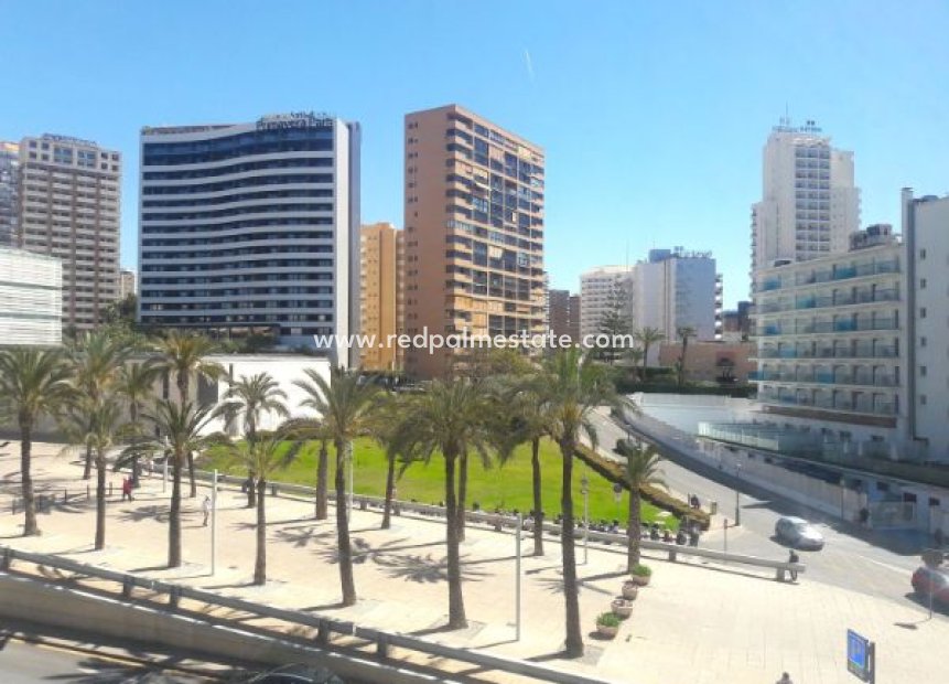 Återförsäljning - Lägenhet -
Benidorm - Costa Blanca