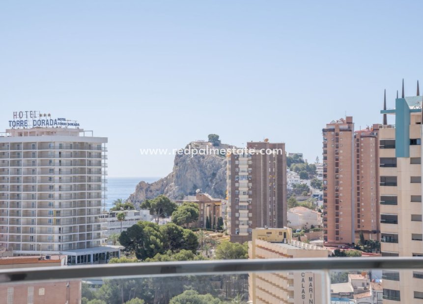 Återförsäljning - Lägenhet -
Benidorm - Costa Blanca