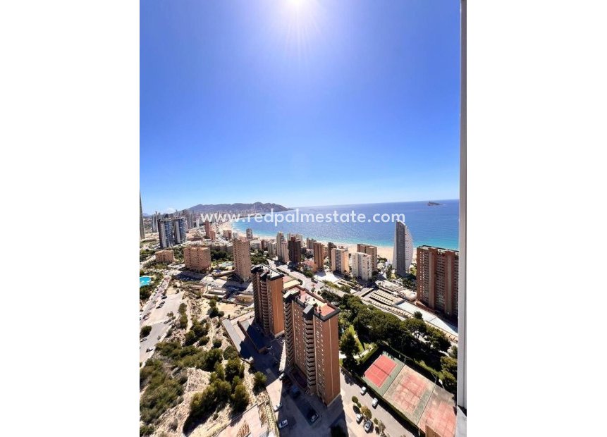 Återförsäljning - Lägenhet -
Benidorm - Playa de Poniente