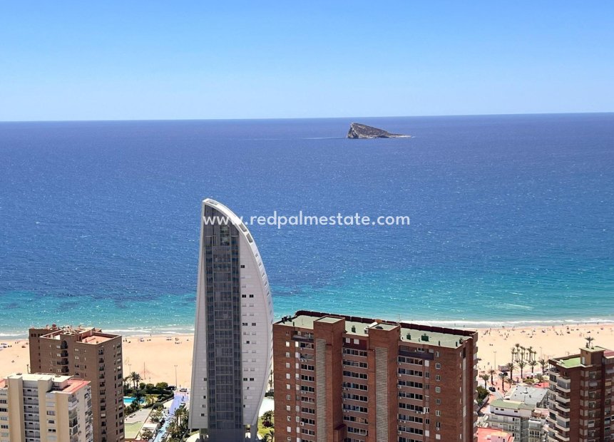 Återförsäljning - Lägenhet -
Benidorm - Poniente