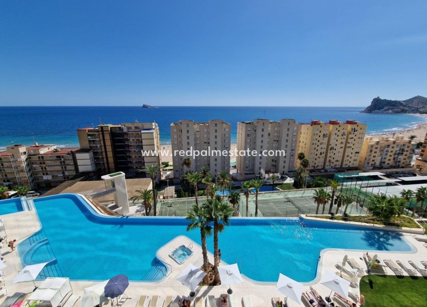 Återförsäljning - Lägenhet -
Benidorm - Poniente