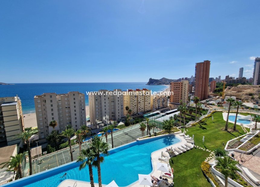 Återförsäljning - Lägenhet -
Benidorm - Poniente